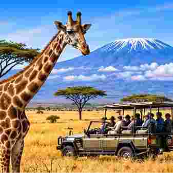 Safaris & Wildlife Tours